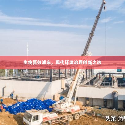 生物高效滤床，现代环境治理创新之选