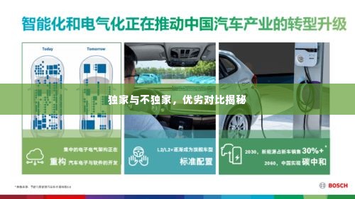 独家与不独家，优劣对比揭秘