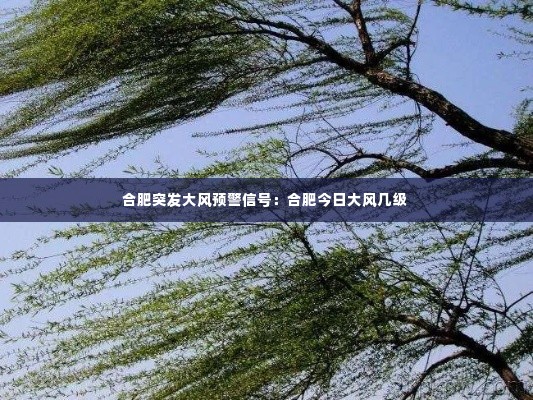 合肥突发大风预警信号：合肥今日大风几级 