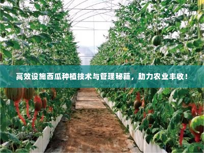 高效设施西瓜种植技术与管理秘籍，助力农业丰收！