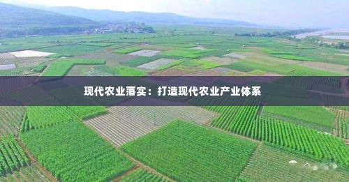 现代农业落实：打造现代农业产业体系 