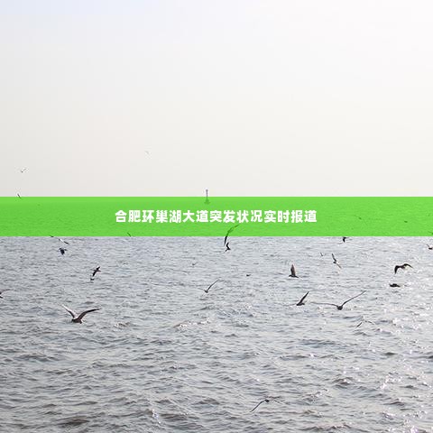合肥环巢湖大道突发状况实时报道