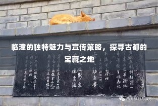 临潼的独特魅力与宣传策略，探寻古都的宝藏之地