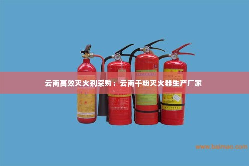 云南高效灭火剂采购：云南干粉灭火器生产厂家 