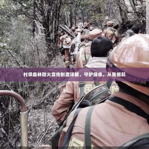 村级森林防火宣传制度详解，守护绿意，从我做起