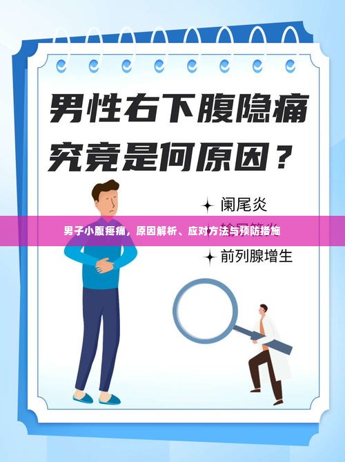 男子小腹疼痛，原因解析、应对方法与预防措施