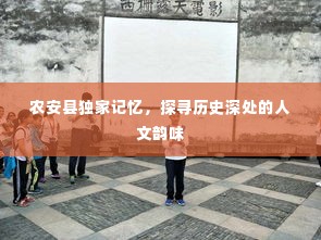 映月读书 第3页