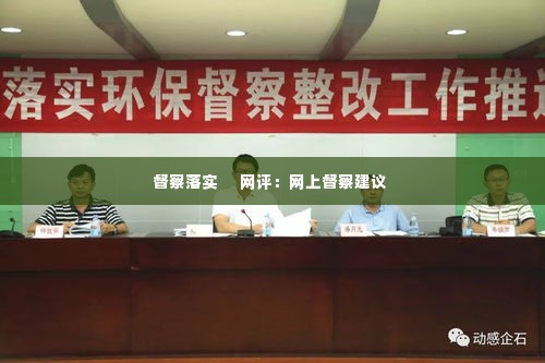 督察落实     网评：网上督察建议 