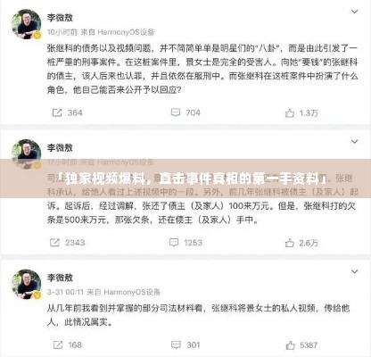 「独家视频爆料，直击事件真相的第一手资料」