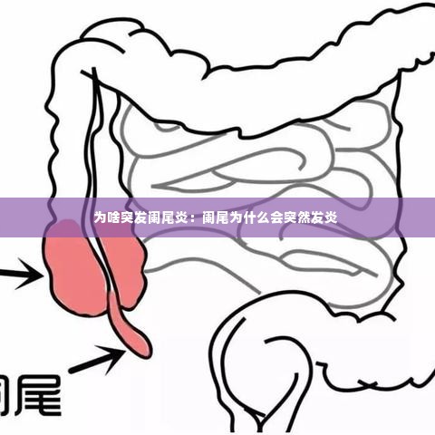 张张屈屈 第3页