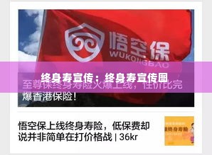终身寿宣传：终身寿宣传图 