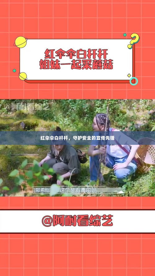 鸟语蝉鸣 第2页