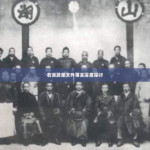 右派政策文件落实深度探讨
