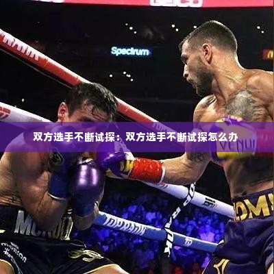 双方选手不断试探：双方选手不断试探怎么办 