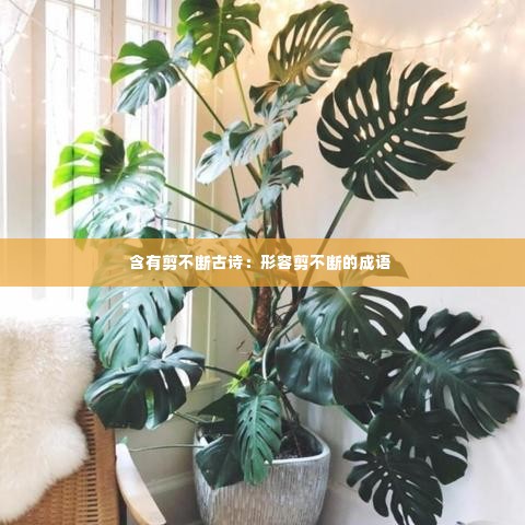读书三到 第3页