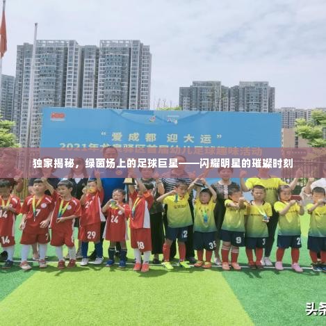 独家揭秘，绿茵场上的足球巨星——闪耀明星的璀璨时刻