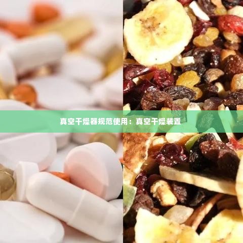 真空干燥器规范使用：真空干燥装置 