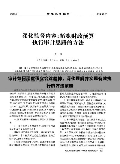 审计如何深度落实会议精神，深化理解并实现有效执行的方法策略