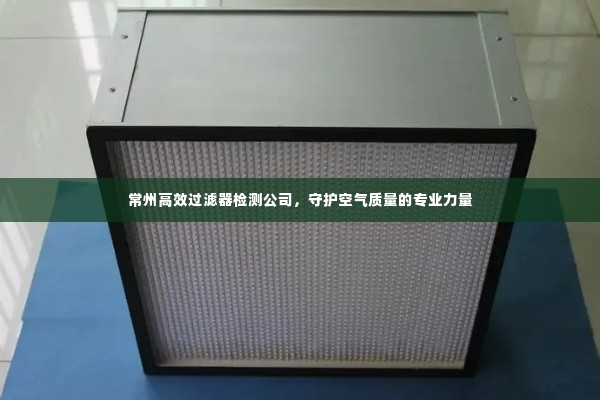 常州高效过滤器检测公司，守护空气质量的专业力量