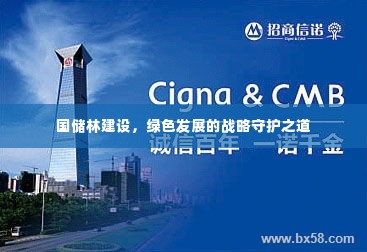 国储林建设，绿色发展的战略守护之道
