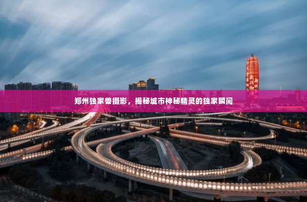 郑州独家兽摄影，揭秘城市神秘精灵的独家瞬间
