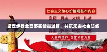 坚定步伐全面落实禁毒监管，共筑无毒社会防线