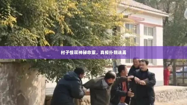 村子惊现神秘命案，真相扑朔迷离