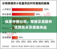 独家分销公司，策略深度解析、优势亮点及面临挑战