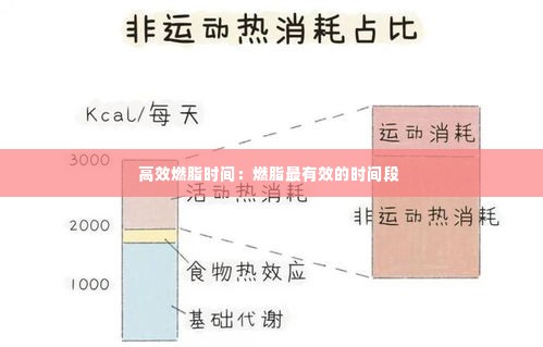 高效燃脂时间：燃脂最有效的时间段 