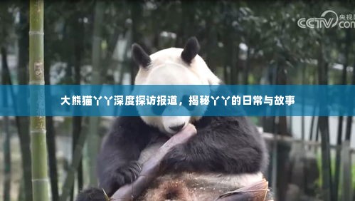 张王李赵 第2页