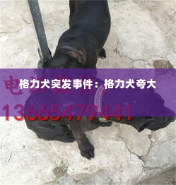 格力犬突发事件：格力犬夸大 