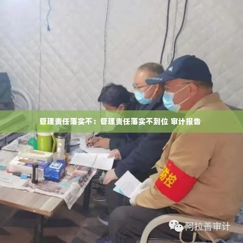管理责任落实不：管理责任落实不到位 审计报告 