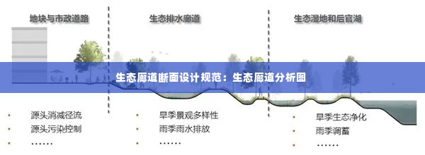 生态廊道断面设计规范：生态廊道分析图 