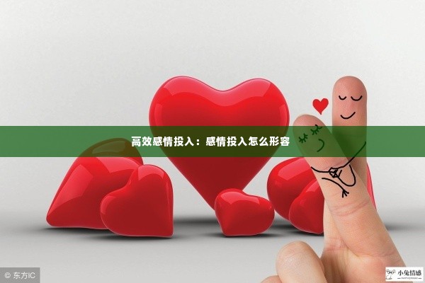 高效感情投入：感情投入怎么形容 
