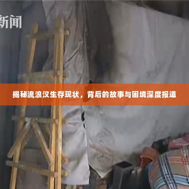 揭秘流浪汉生存现状，背后的故事与困境深度报道