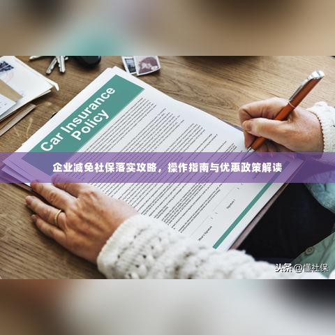 企业减免社保落实攻略，操作指南与优惠政策解读