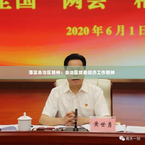 落实自治区精神：自治区党委经济工作精神 