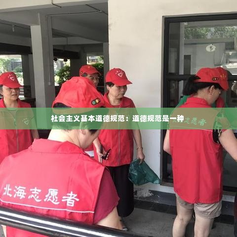 社会主义基本道德规范：道德规范是一种 