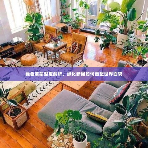 绿色革命深度解析，绿化新闻如何重塑世界面貌