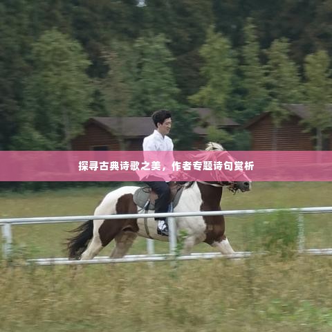 温文尔雅 第3页