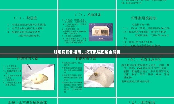 胆道镜操作指南，规范流程图解全解析