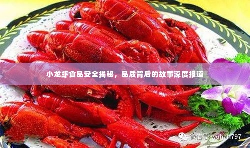 小龙虾食品安全揭秘，品质背后的故事深度报道