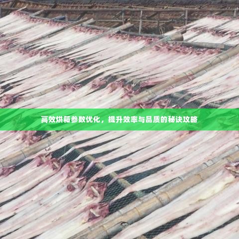 高效烘箱参数优化，提升效率与品质的秘诀攻略