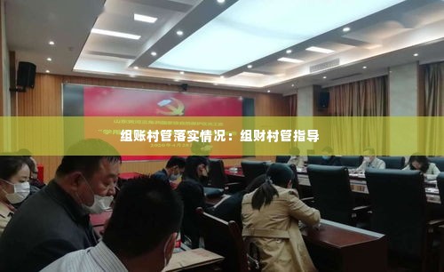 组账村管落实情况：组财村管指导 
