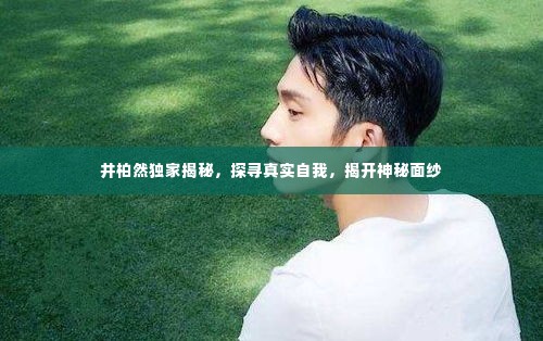 井柏然独家揭秘，探寻真实自我，揭开神秘面纱