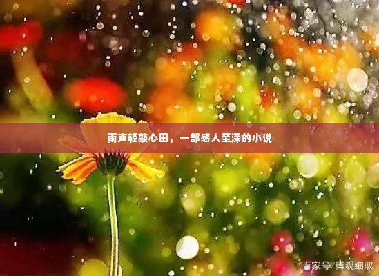 雨声轻敲心田，一部感人至深的小说