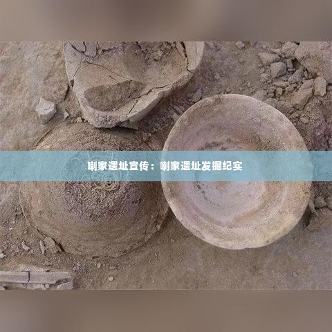 喇家遗址宣传：喇家遗址发掘纪实 
