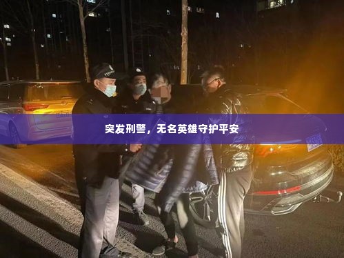 突发刑警，无名英雄守护平安