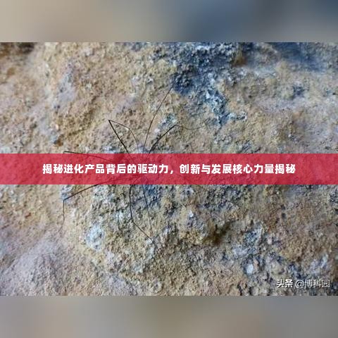 揭秘进化产品背后的驱动力，创新与发展核心力量揭秘