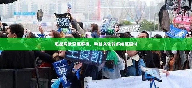 追星现象深度解析，粉丝文化的多维度探讨